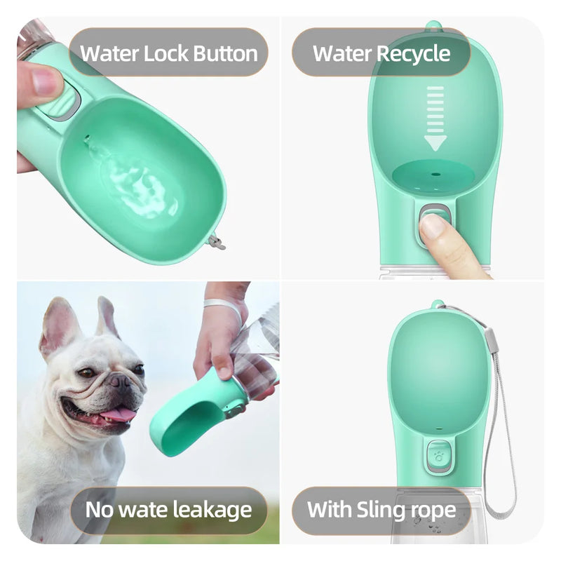 Portable water bottle for small and large dogs