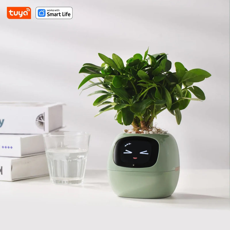 Tuya Ivy Smart Planter